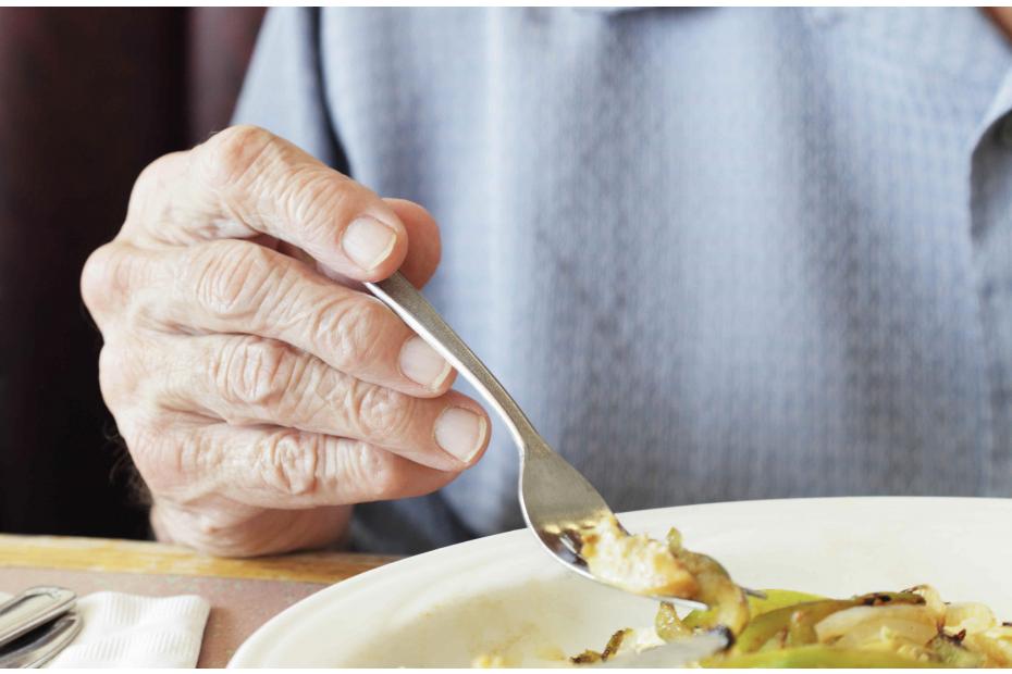 menus de verano para ancianos