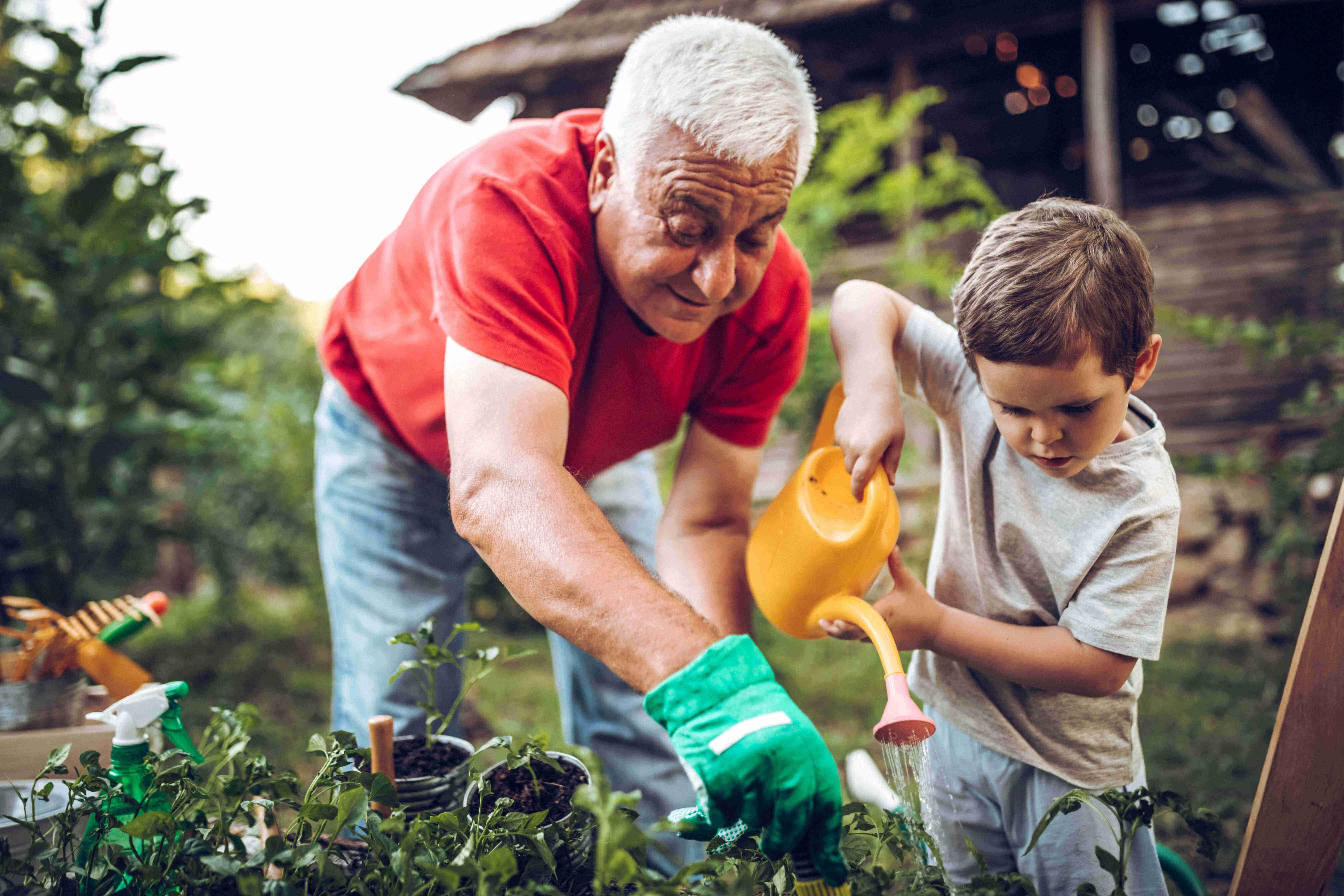 5 actividades que hacer en verano con personas mayores